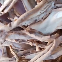 云南百部，大百部，都是采集于大山，非人工种植，鲜货干片都