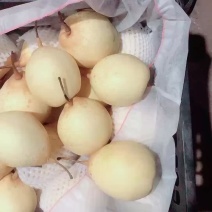 好鸭梨，毛重31斤，16元每件，价格真实，电商货，大量有