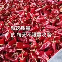 干辣椒