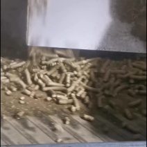 生物质颗粒