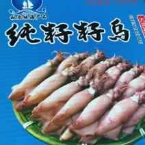 全籽大海兔