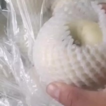 黄元帅苹果套网箱装，一二级果，大量有货，富士苹果，飓风葡
