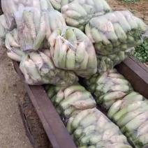 湖北襄阳襄州区张家集
