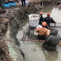 八到十五斤青鱼大批量出售