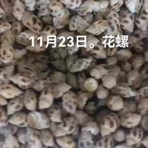 花螺