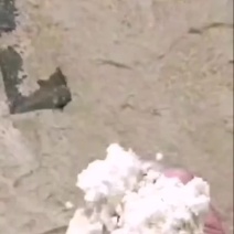大量供应优质豆渣