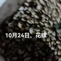 花螺