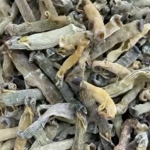 沙虫干