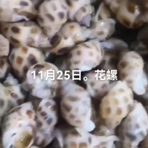 花螺