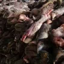 锡林浩特市草地牛蹄，大量有货，质量保证，放心够买