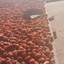 大量柿饼