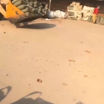 生物质颗粒燃料