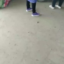 家庭农场香菇