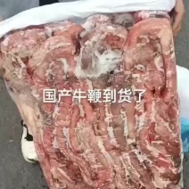 国产牛鞭价格合适