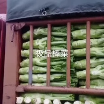 棒菜