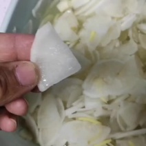 白萝卜