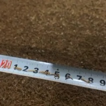 优质开口虫，1.2、1.5各规格幼虫常年有货，全国发货