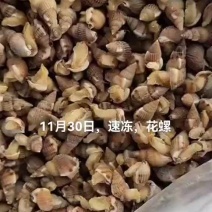 花螺，鲜活花螺，速冻花螺