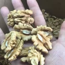 我是产地做核桃仁加工的，各种尖白，普白，次白，碎仁