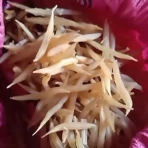 广西良种大天冬干品含量高质量好
