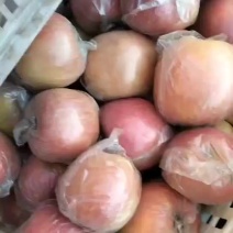 富士苹果物美价廉