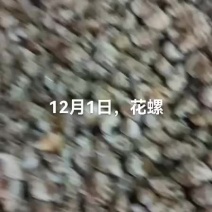 花螺