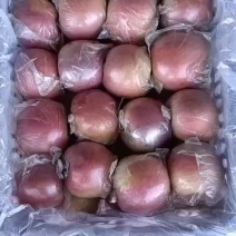 膜代红富士苹果无差价价格不高