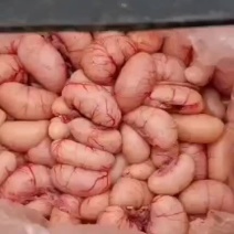 鸡腰子