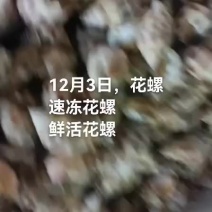 花螺