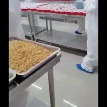佛跳墙厂家直销可一件代发电商平台直接下单
