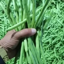 豆角