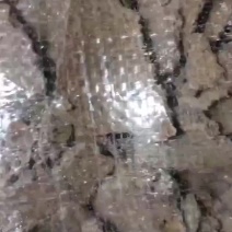 【肥料】花生枯，厂家一手货源，稳定供货，欢迎咨询