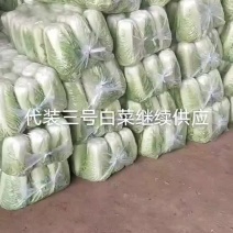 代装三号白菜净菜装代质量**欢迎采购
