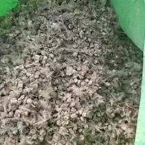 鹌鹑颗粒粪