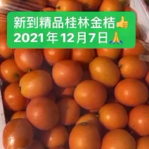 广西桂林特级金桔