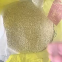 大米样品链接