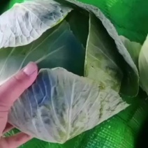 福州精品扁包价格优惠欢迎下单