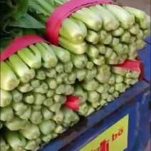 小白菜，大量现货，包装齐全，质量保障，诚信第一