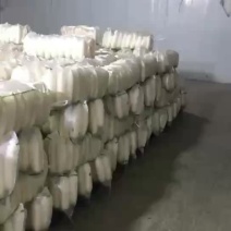 湖北白萝卜自产自销货源充足支持配货线上交易