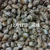 花螺
