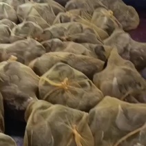 各种鹅批发，天然放养，品种齐全，如狮头，马岗，三花等