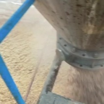 广东肇庆市蓝带啤酒有限公司