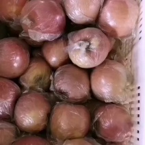 冠县冰糖心苹果