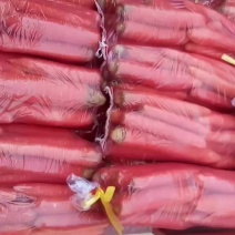 精品小袋萝卜
