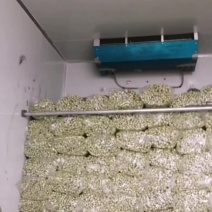 乐亭县芹菜蔬菜基地大量现货价格优惠