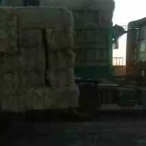 小包柔丝稻草大包粉碎稻草牛羊稻草大方包肉丝稻草