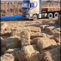 粉碎稻草柔丝稻草克拉斯稻草牛羊饲料