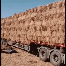 厂家直销牛羊饲料柔丝稻壳打包稻草