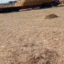 牛羊饲料稻草柔丝稻草压块稻草大包稻草