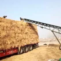 厂家直销整根防沙治土稻草粉碎稻草柔丝稻草克拉斯稻草